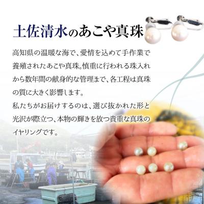 ふるさと納税 土佐清水市 あこや本真珠のイヤリング(8mm珠・スタッドタイプ・ホワイトピンクカラー)【R00708】 |  | 02