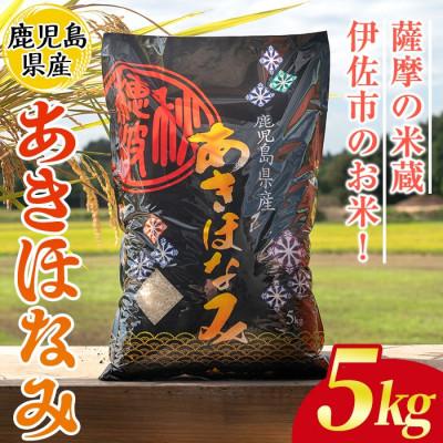 ふるさと納税 伊佐市 鹿児島県産あきほなみ(5kg)  伊佐米 isa805