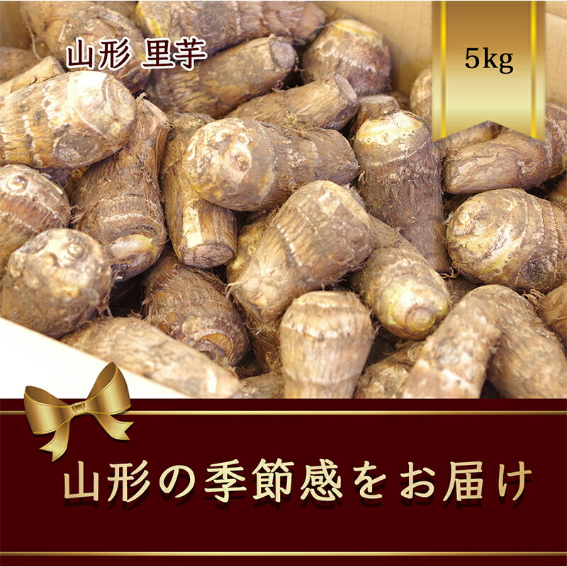 【ふるさと納税】 《2026年 先行予約》 山形県産 里芋 5kg【2026年9月から発送】 根菜 野菜 食品 山形県 FSY-2627