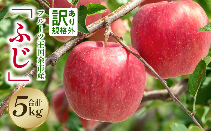 
            【2025年11月下旬より発送】フルーツ王国余市産訳あり「ふじ」5kg【ニトリ観光果樹園】
          