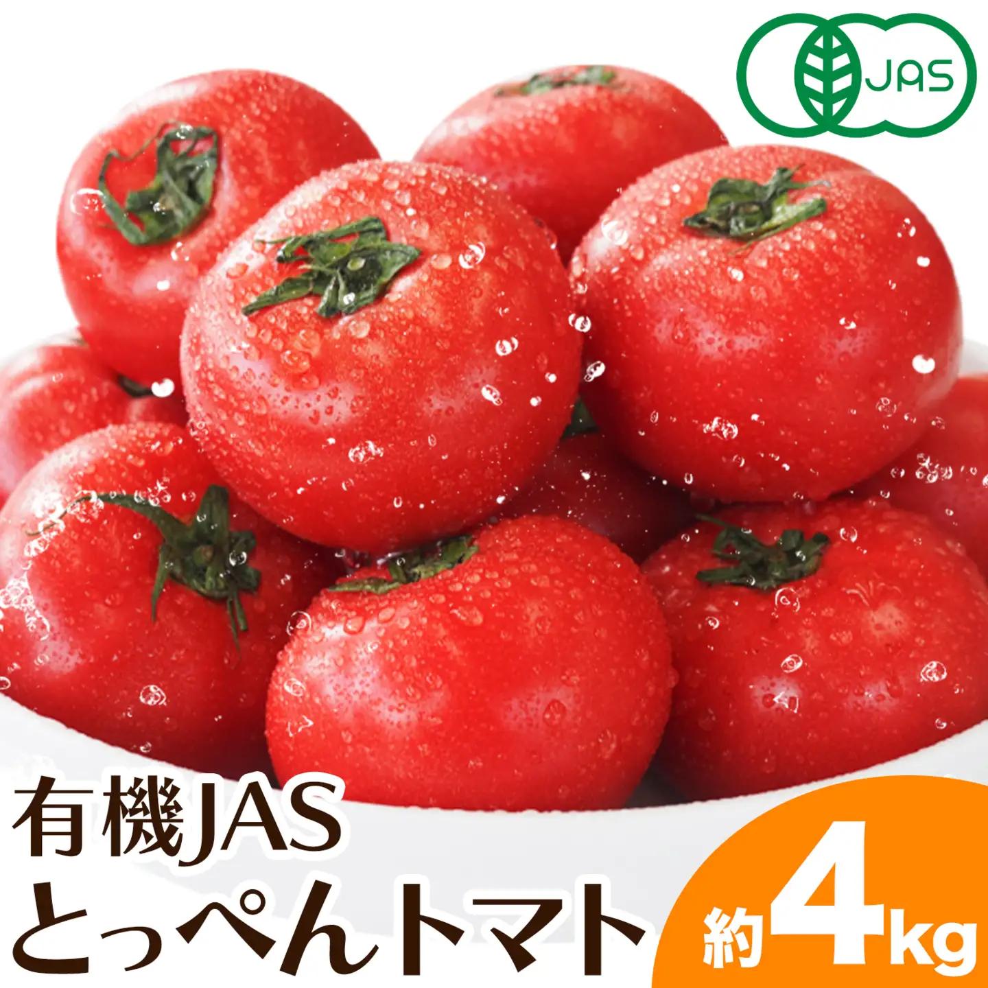 有機JAS トマト 4kg 澤村農園 トマト