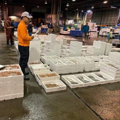 ふるさと納税 伊予市 【吉井鮮魚】アジフライ 個包装 24枚入り |C103 |  | 03