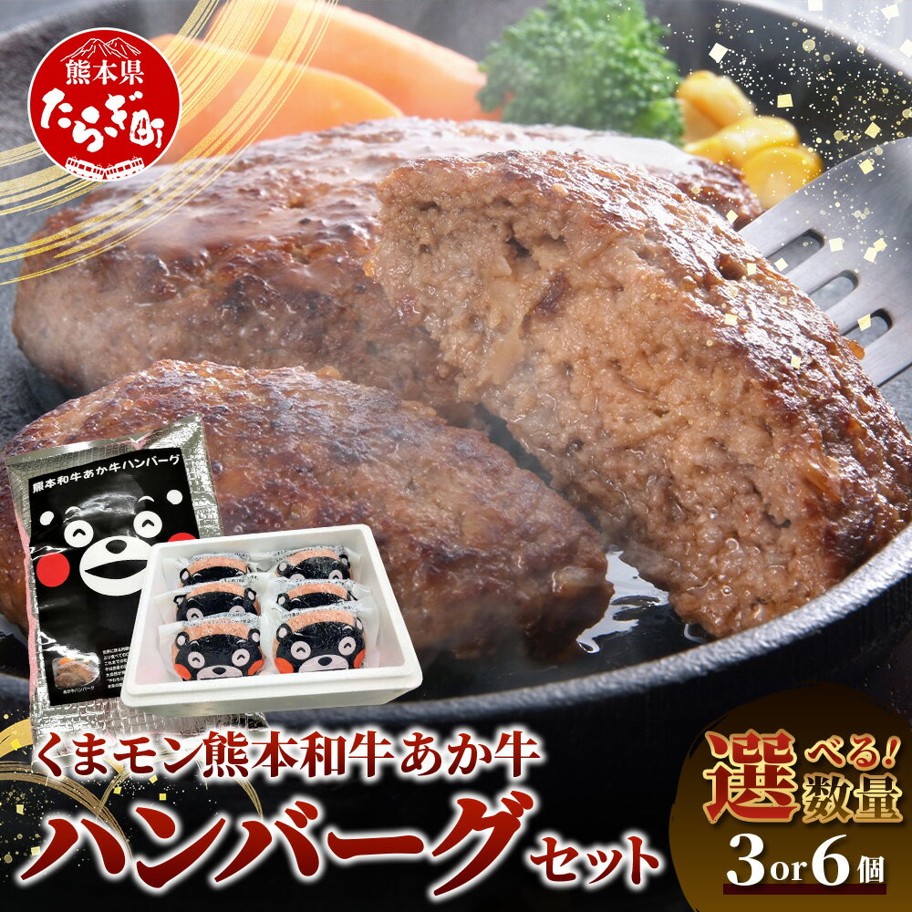 【ふるさと納税】 熊本県産 あか牛 100％ ハンバーグ 120g× 3個 or 6個 ギフト 対応 くまモン パッケージ 本場 くまもと あか牛 冷凍 牛肉 赤牛 肉 熊本産 国産 和牛 ハンバーグ 熊本 惣菜 個包装 小分け ビーフ ハンバーグ ギフト 母の日 父の日 お中元 お歳暮 贈り物