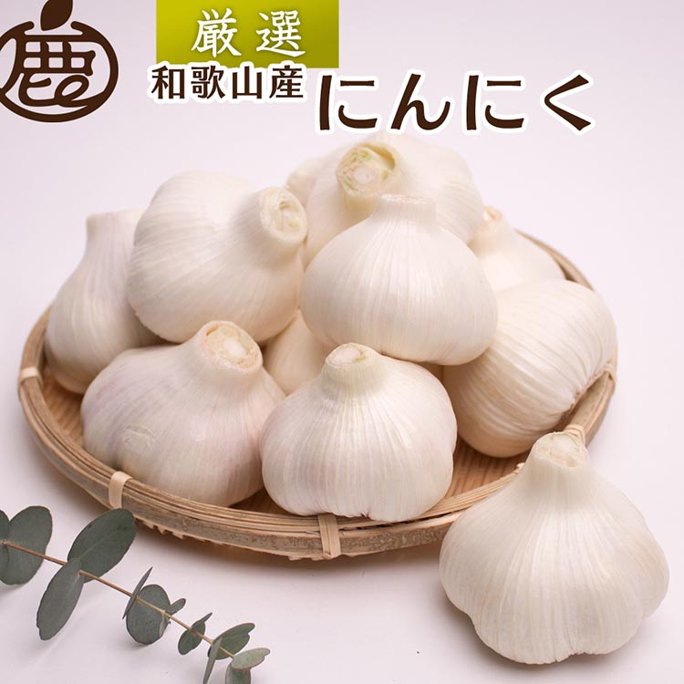 
                  ＜5月より発送＞厳選 にんにく1kg【生にんにく】【国産】 | ニンニク 野菜 薬味  食品 食材 常備菜 バーベキュー 焼肉 ガーリック にんにく アヒージョ 料理 調理 厳選 ストック 調味料 長期保存 常温保存 和歌山県
                