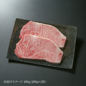 飛騨牛 サーロインステーキ 400g（200ｇ×2） 冷凍真空パック | 肉 お肉 ステーキ 黒毛和牛 和牛 人気 おすすめ 牛肉 ギフト お取り寄せ 7日以内お届け[S848]