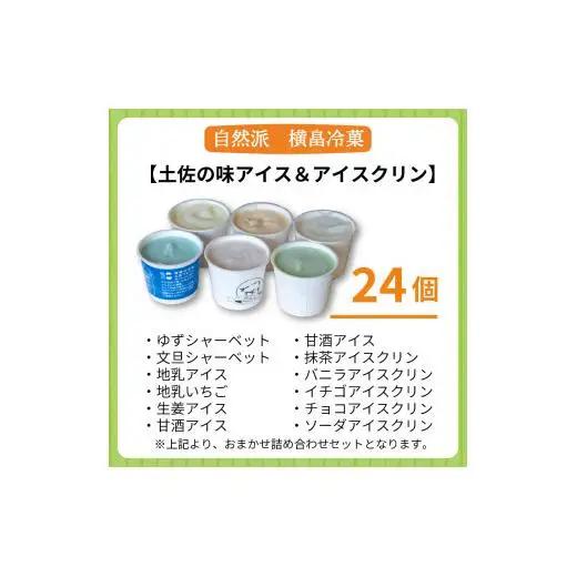 アイスクリーム24個_菓子・スイーツ アイス・ジェラート _【ME072】