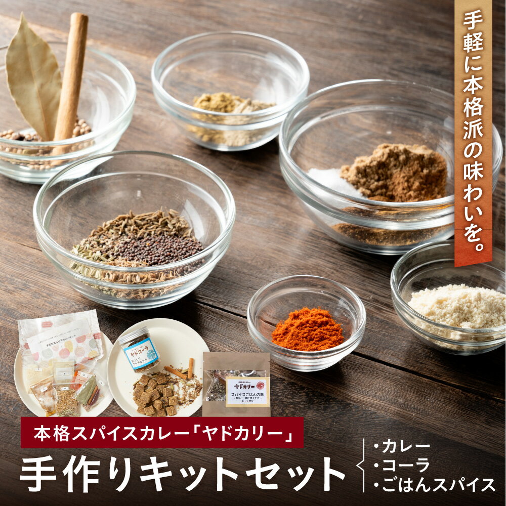 【ふるさと納税】【近鉄百貨店】ヤドカリー 本格スパイスカレー 手作りキットセット カレー コーラ ごはんスパイス 大阪天満橋 人気 スパイスカレー専門店 オリジナル 送料無料 大阪市 大阪府