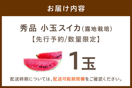 【先行予約／数量限定100】にしまるスイカ 秀品 1玉入り（露地栽培）（2025年7月中旬から発送）
