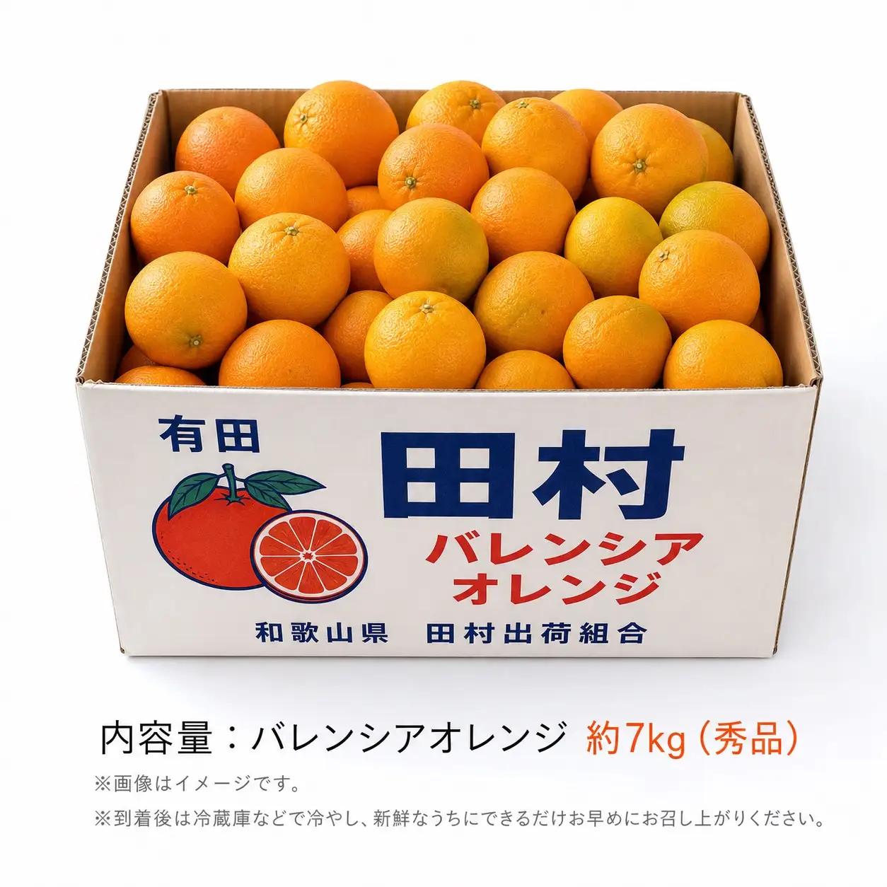 秀品　田村のバレンシアオレンジ　約7kg【2027年6月下旬頃～7月上旬頃順次発送予定】/ みかん くだもの フルーツ 【uot872】 
