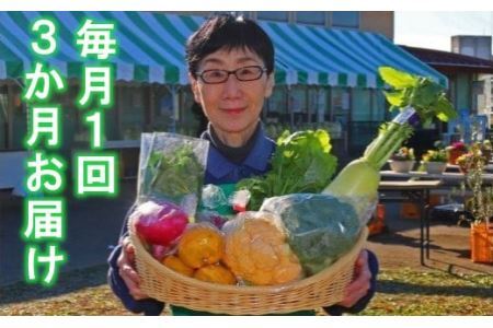 【3か月定期便】 厳選・「おおばん市場」旬の野菜詰め合わせ
