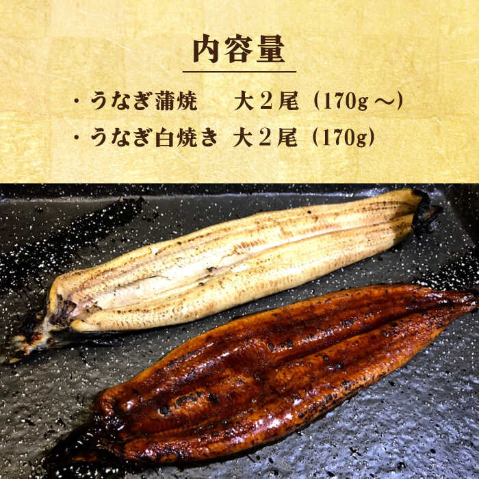 【須川屋台道場】うなぎ 蒲焼 2尾 ・ 白焼き 2尾 セット  / 南島原市 / はなぶさ [SCN009]_イメージ2