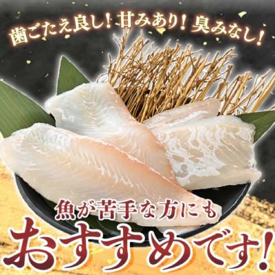 ふるさと納税 美浜町 若狭の天然活〆ヒラメ柵400g以上【お刺身用】【解凍後、切るだけ】 |  | 03