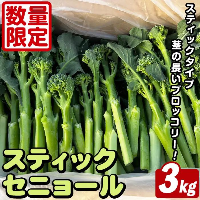 ＜先行予約受付中！2026年5月以降順次発送予定＞ スティックセニョール (3kg) 国産 鹿児島県産 阿久根市産 ブロッコリー 野菜 サラダ お弁当 ピクニック 産地直送 茎ブロッコリー 肉巻き 数量限定 期間限定 【うとさんち】akn067-26