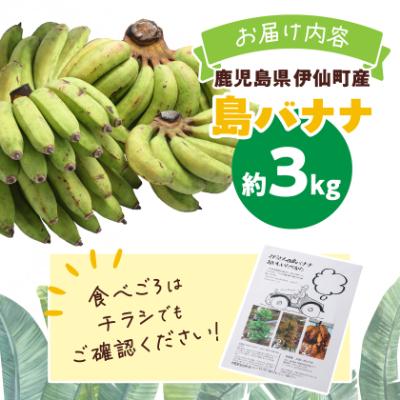 ふるさと納税 伊仙町 貞さんの島バナナ約3kg |  | 03
