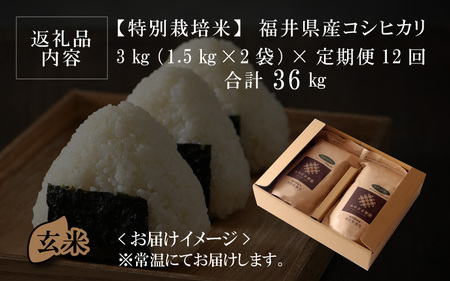 【先行予約】【令和8年産・新米】【12ヶ月連続お届け】【特別栽培米】福井県産 コシヒカリ 1.5kg × 2袋 計3kg (玄米) ～化学肥料にたよらない100%の有機肥料～ ネオニコフリー スタンド