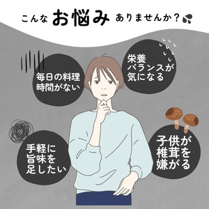 しいたけ粉 1袋 70g 椎茸15個分 お肌ツルツル 香信 こうしん 干し椎茸 しいたけ 椎茸 パウダー ダイエット 健康 手軽 かけるだけ ビタミン 鉄分 大船渡市
