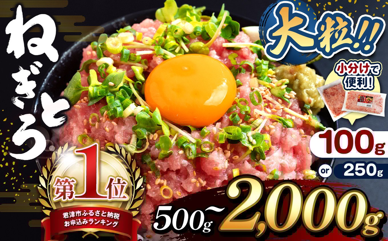 清幸丸水産 ねぎとろ 大人気 1250g(250g×5袋) 味も量も大満足