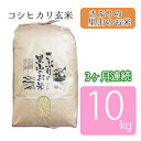 【ふるさと納税】定期便 【3ヶ月連続】さぶりの里山のお米　コシヒカリ玄米　10kg　【定期便・お米・玄米・コシヒカリ】