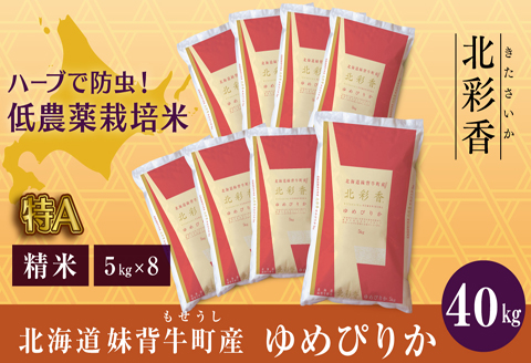 令和6年産 新米予約 妹背牛産 【北彩香（ゆめぴりか）】 白米 40kg（11月発送）