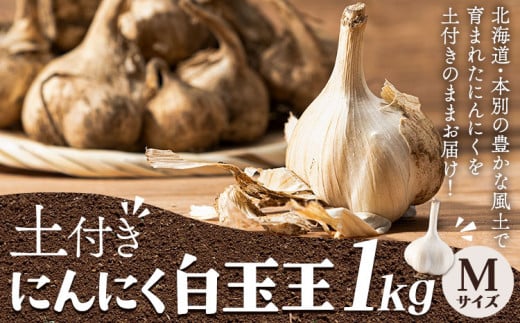 【先行予約】土付き にんにく 白玉王 1kg Mサイズ 本別町産 斎啓一 《2026年8月中旬-9月末頃出荷》北海道 本別町 送料無料 ニンニク ガーリック 乾燥にんにく スタミナ 野菜 1キロ 先行予約