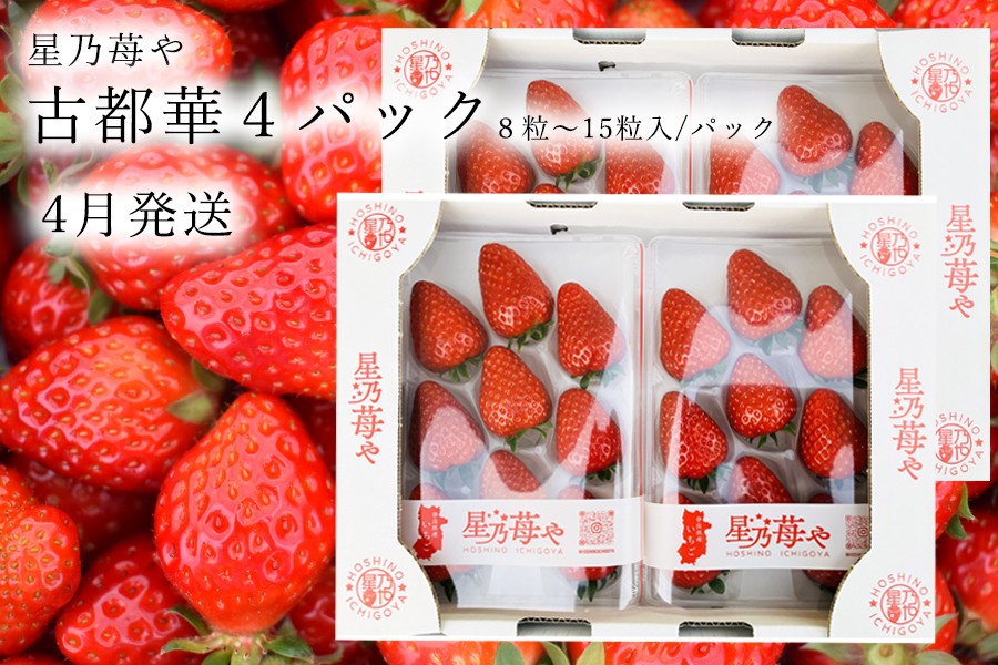 
                  先行予約 奈良県ブランドイチゴ古都華4パック 4月発送  // /苺 いちご イチゴ 古都華 奈良 奈良県 広陵町 生産者直送 直送 厳選 数量限定 旬 フルーツ 甘い 完熟 果物
                