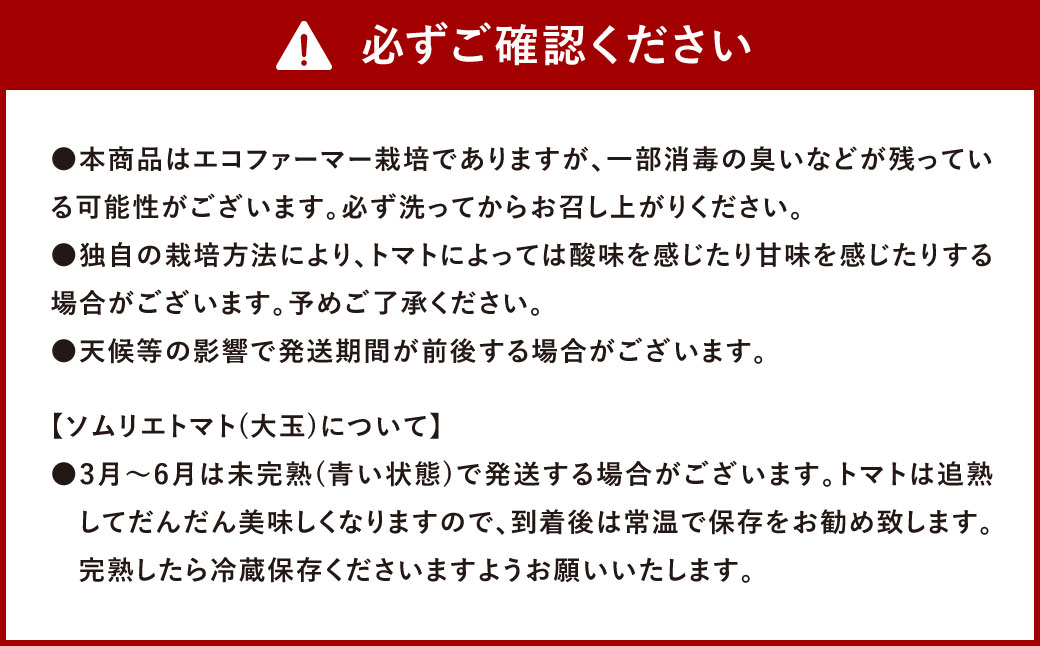 【 食べ比べ 】ソムリエ トマト 1.3kg と ソムリエ ミニトマト ダイヤ 1kg の セット 合計2.3kg 2種 とまと 野菜 やさい 熊本県産 国産 【2025年2月上旬発送開始】