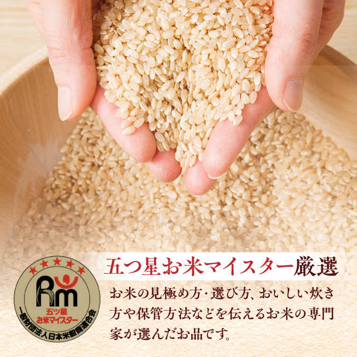 【令和7年産】特A獲得！さがびより玄米3kg 吉野ヶ里町/大塚米穀店 [FCW002]