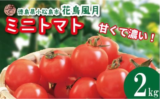 【2027年4月発送】 ミニトマト 2kg 花鳥風月 先行予約 トマト 水耕栽培 爽やか 甘い 野菜 やさい 国産 産地直送 数量限定 旬 フレッシュトマト 生野菜 新鮮 ソース 調味料 ケチャップ サラダ 美容 新鮮 健康 お取り寄せ トマト グルメ おすすめ 人気 徳島県 小松島市