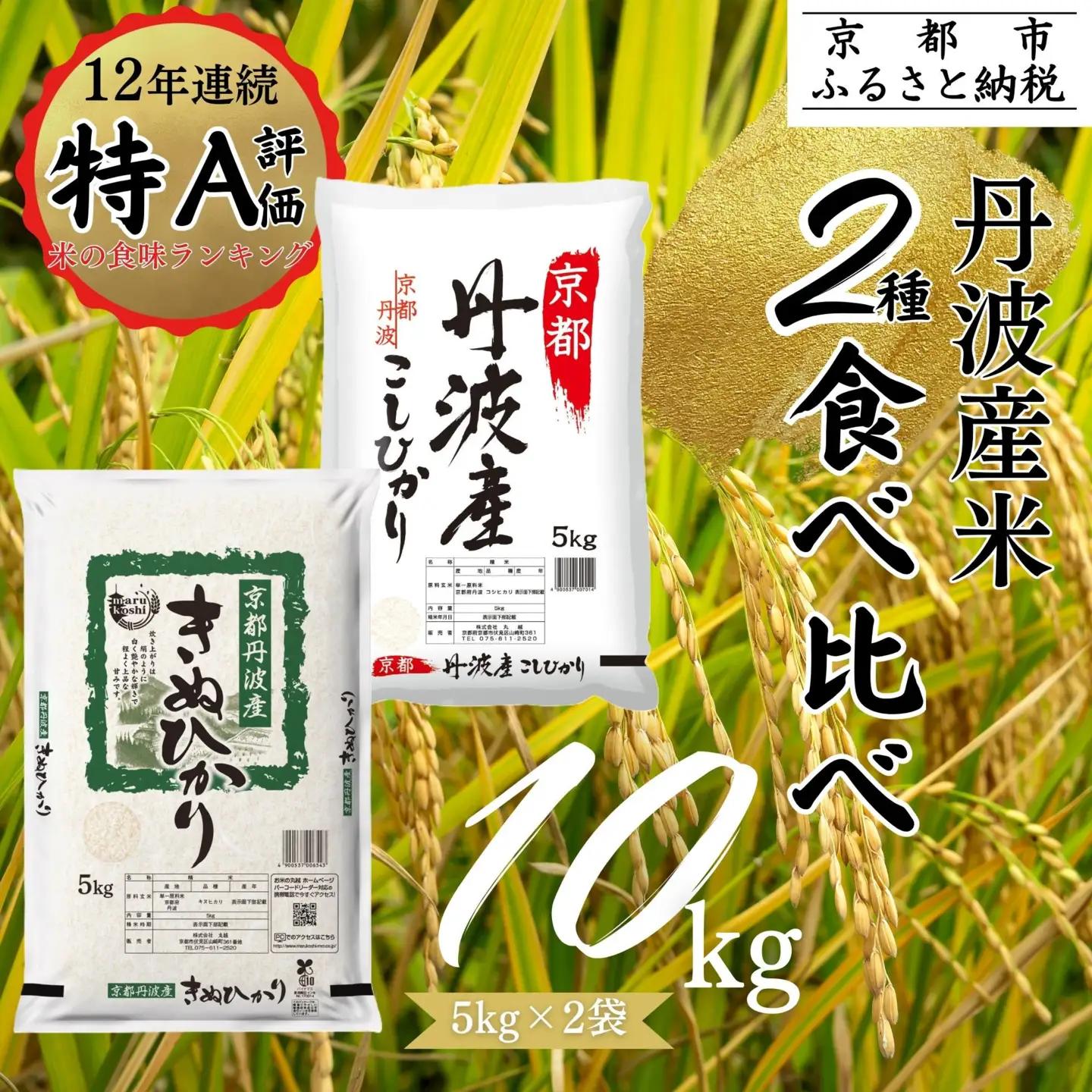【令和7年産】丹波産 米 2種食べ比べセット 10kg (5kg×2) 白米 精米