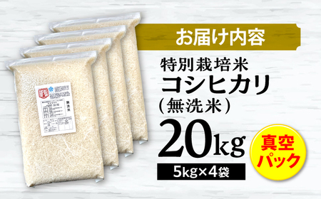 特別栽培米コシヒカリ 真空パック白米（無洗米）20kg（5kg×4袋） お米 こしひかり ご飯 コシヒカリ おこめ 三次市/小川モータース[APCH007]
