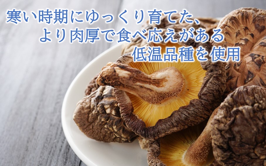 小分けで便利！ 国東のしいたけ 使い切りサイズ 20g×10P 大分 椎茸 乾燥しいたけ 小袋 個包装_2683R