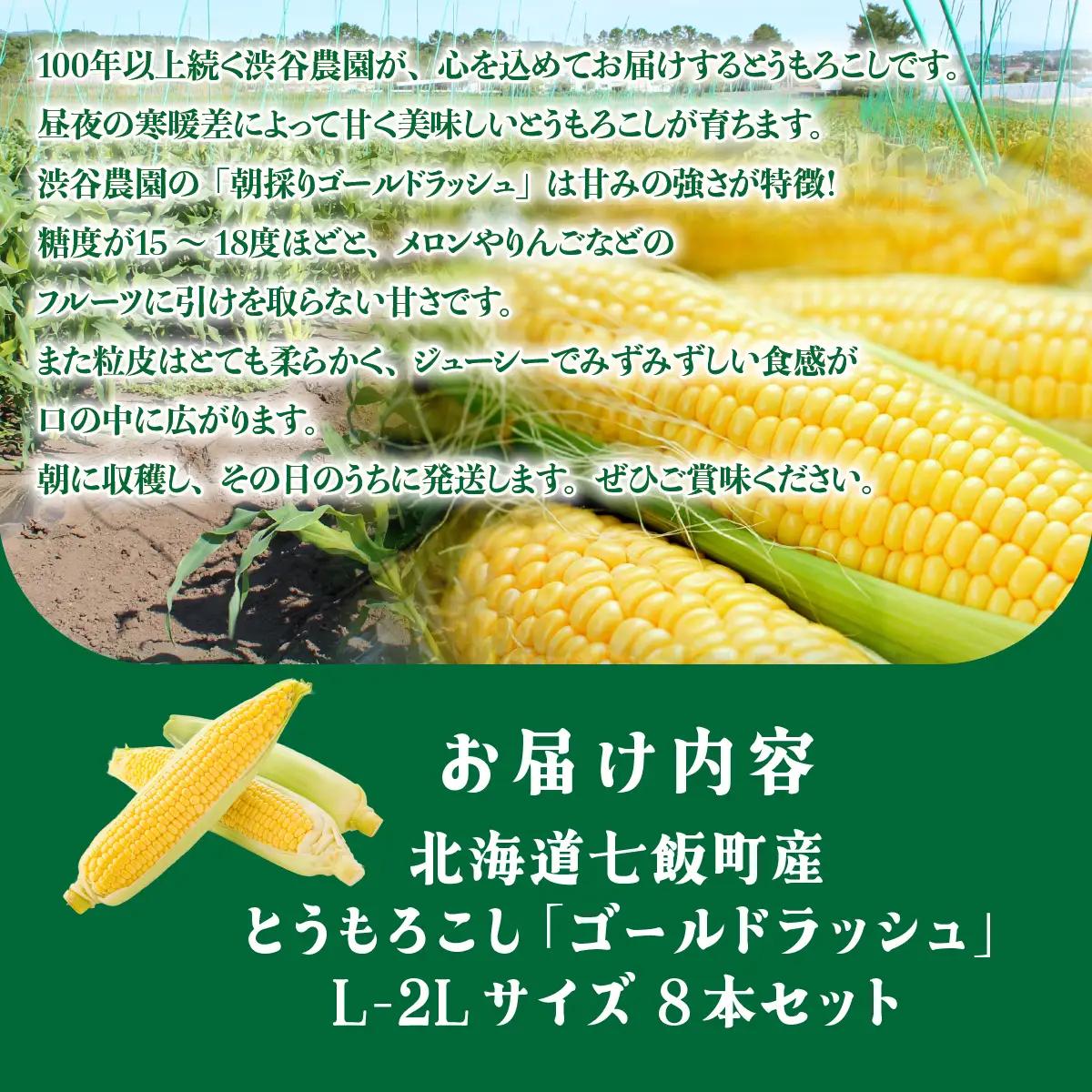 【先行予約 令和8年8月発送】北海道七飯町産 とうもろこし「ゴールドラッシュ」(L-2Lサイズ) 8本セット NABT006