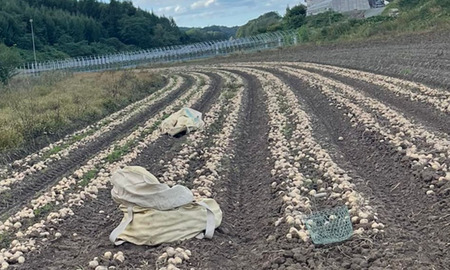 ～北の大地のおくりもの～新田農園のジャガイモ食べ比べセット[020-74]