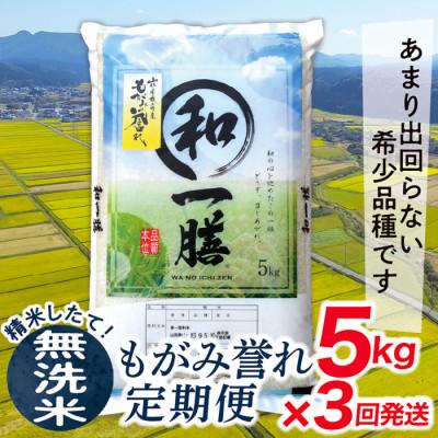 ふるさと納税 最上町 【毎月定期便】買い忘れなしで美味しいもがみ誉れ5kg(無洗米)が届く全3回