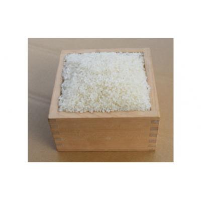 ふるさと納税 山口市 阿武川源流米コシヒカリ白米5キログラム D540 |  | 01