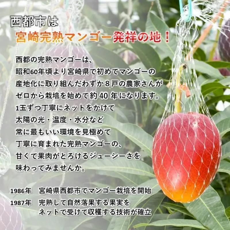【２カ月定期便】先行予約　最高級ブランド『太陽のタマゴ』4L×2個×２回【糖度15度以上】宮崎県西都市産完熟マンゴー＜68-7b＞宮崎マンゴー 果物 フルーツ 甘い