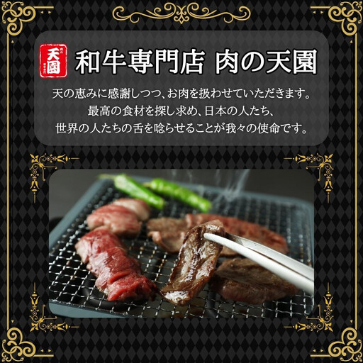 【ふるさと納税】【肉の天園】神戸牛 特選 焼肉 特上カルビ 500g SI05
