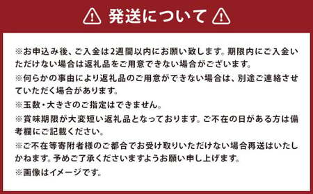 【訳あり】 紅いわて 約5kg 家庭用／わけあり りんご リンゴ フルーツ 果物 岩手 【2025年9月上旬－10月上旬発送予定】