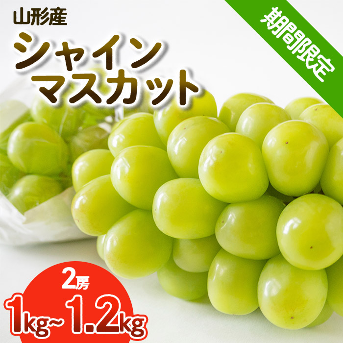 【期間限定】希少！冬のシャインマスカット 秀品 2房入り (1kg～1.2kg) 【令和8年産先行予約】FS25-685