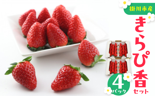 きらぴ香セット(4パック　約1040g)　酸味は控えめで濃厚な甘さのおいしいいちご【配送不可地域：離島・北海道・沖縄県・四国・九州】
