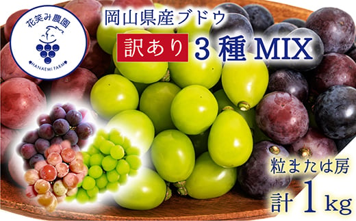 
                  岡山　花笑み農園のブドウ『訳あり3種以上MIX』1kg　W3M-1【1650788】
                