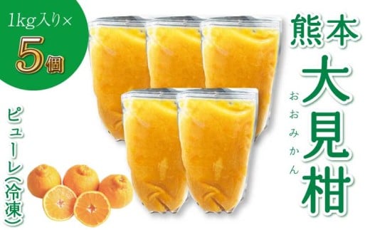熊本大見柑ピューレ(冷凍) 1kg入り 5個 不知火 不知火果汁 しらぬい デコポンと同品種 ピューレ アイス お菓子 料理 爽やか 柑橘 果物 くだもの フルーツ 熊本県産 九州産 国産 宇城市産 株式会社la Nui.