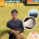 【ふるさと納税】 数量限定 令和6年産 きぬむすめ （ 10kg × 6回 ） 定期便 令和6年産米 精米 お米 米 こめ コメ 白米 ごはん ご飯 ゴハン ブランド米 鳥取県 倉吉市