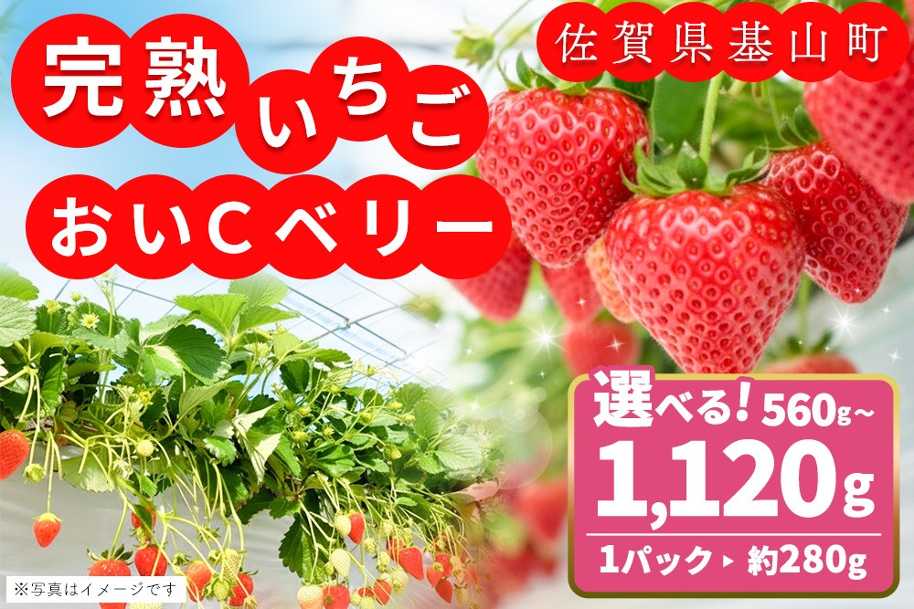 
                  【農場直送いちご】内容量が選べるおいCベリー【約280g 2パック or 4パック ふるさと納税 基山町産 いちご イチゴ 朝採れ 完熟果 KBCテレビ「ふるさとwish」で紹介されました】K100P017
                