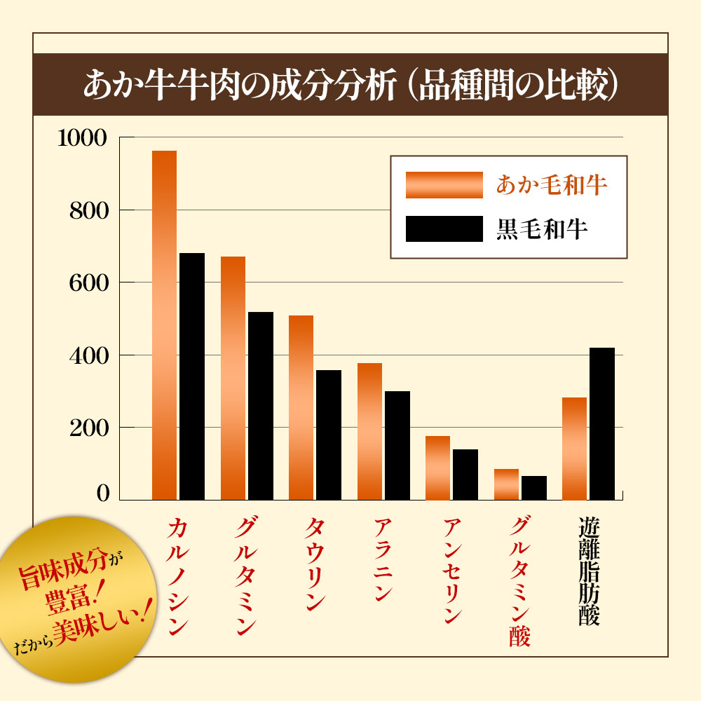 あか牛 サーロインステーキ 300g×2枚 和牛 肉 国産 希少 サーロイン ステーキ 希少部位 牛肉 ブランド牛 人気 熊本 阿蘇