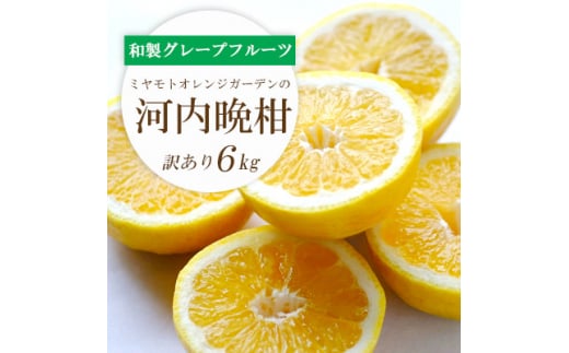 ＜2025年4月下旬＞苦味の少ない和製グレープフルーツ 河内晩柑6kg(訳あり)＜C25-136＞【1151745】