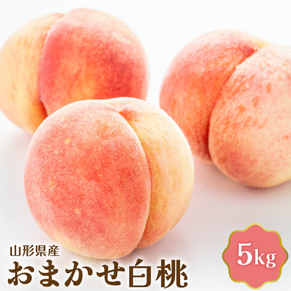 【ふるさと納税】【令和7年産】 おまかせ 白桃 5kg 国産 モモ もも ピーチ 冷蔵便 フルーツ 果物 果肉 青果 お取り寄せ 東北 山形県 河北町 【JAさがえ西村山】