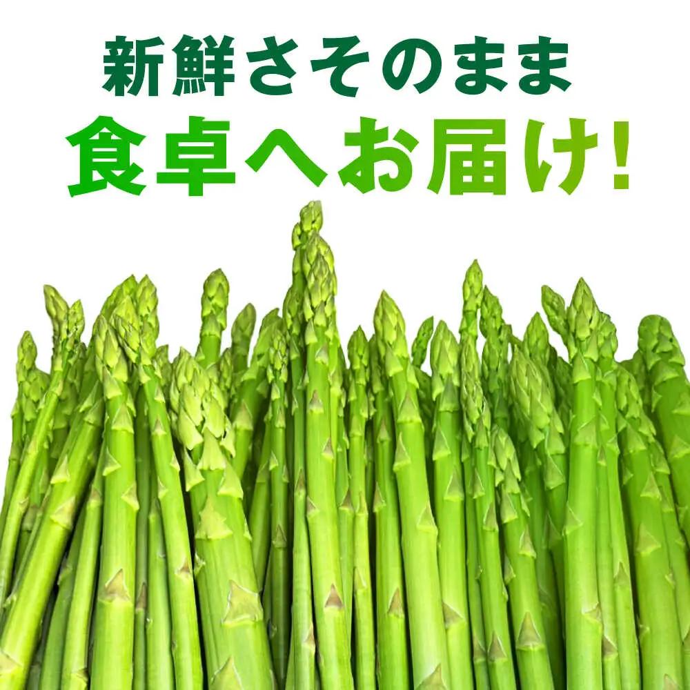 【先行予約】 山鹿市産 いけだ農園のアスパラガス 夏芽(MからLサイズ)　約1kg【いけだ農園】[ZFP001]