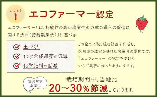 【2027年 2月発送】【アフター対応】特別栽培あまおう 約300g×4パック イチゴ 苺 いちご ※北海道・沖縄・離島配送不可