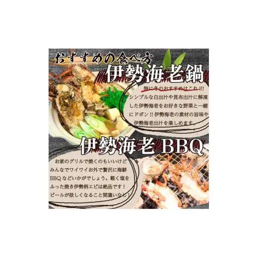【伊勢海老】 ハーフカット伊勢海老(加熱用)1匹(500g以上)